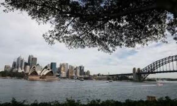 سفید کردن بام‌ها و کاشت درخت برای مبارزه با تغییر اقلیم در سیدنی