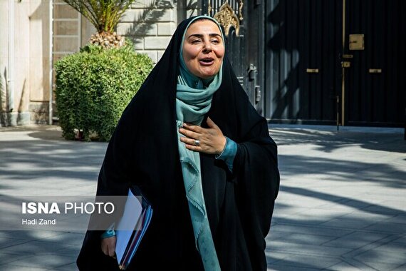 تیم بازرسی ، از پروتکل ها و تشریفات وزرا آگاهی نداشتند !